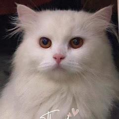 Amna Qumre alam 🤗🤗