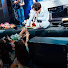 GBcGgESJkJc-channel-avatar-Dimash Dear Pan