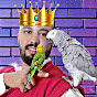 MOSHAB VLOG_king parrot