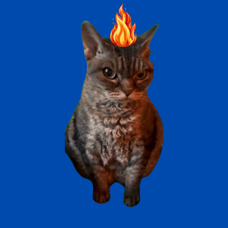 Mad Cats