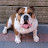 @Maggie-g-g Avatar