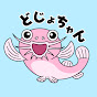 どじょちゃんねる logo