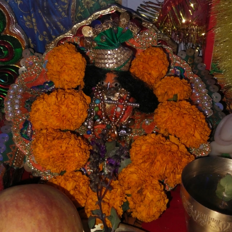 Laddu gopal vlogs 4821