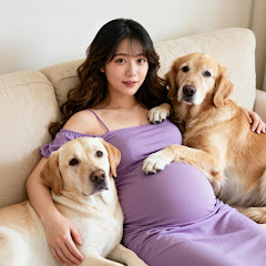 Chill Dog Channel2アイコン画像