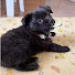 lqkSCAE04sw-channel-avatar-멘완