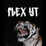 Flex YT