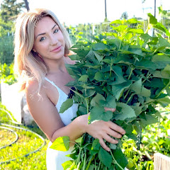 Shepherding Peppers Farm   Avatar