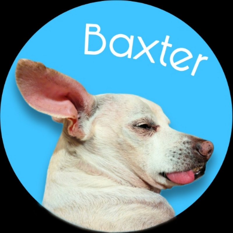Baxter and Friends