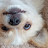 @Jc2023Obdulio