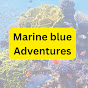Marine blue Adventures logo