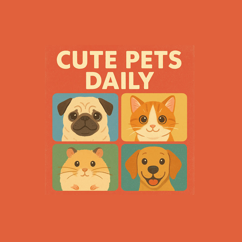 Cute Pets Daily avatar