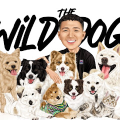 Daily Dose of Wild Dogs