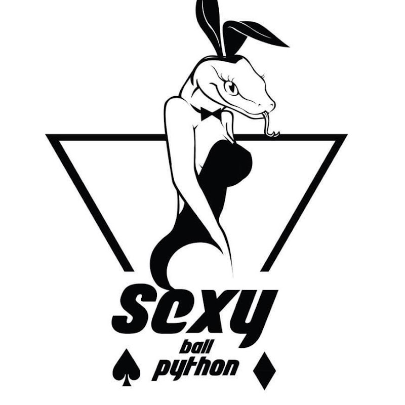 Sexy ballpython