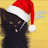 @stevenmaynard3159 Avatar