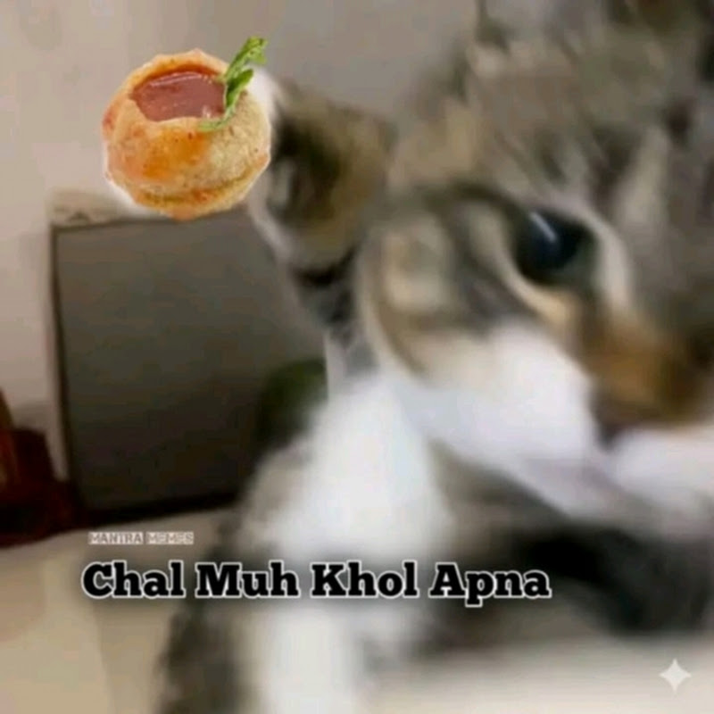 Hire @SIGMA_BAMEe — Programming & Web Development YouTube creator for sponsorships