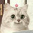 @향림-s5c
