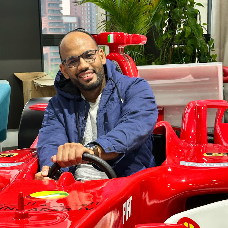 السيارات الكهربائية الصينية - Chinese EVs