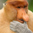avatar of @masterofthinking