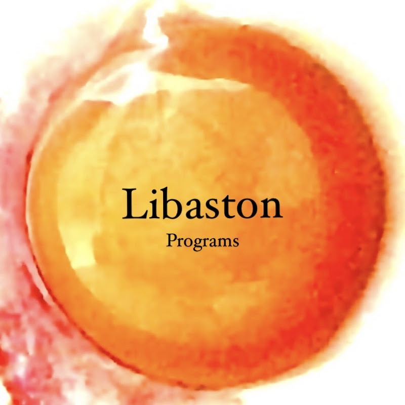 Libaston Programs