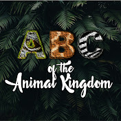 ABC of the animal Kingdom