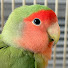 5CS6Wv7jyiM-channel-avatar-A Huge Image