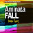 Aminata Fall - Topic