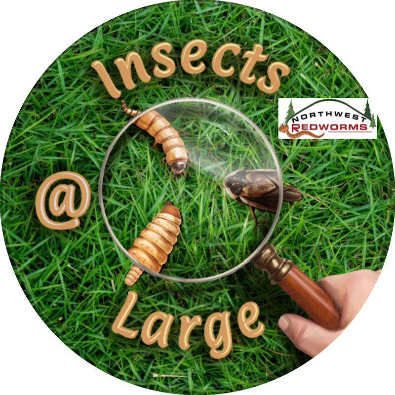 Insects @ Large & NW Redworms