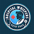 yJGjCkpa2Ek-channel-avatar-Hospital Whisper