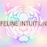 2YsAxt_IElw-channel-avatar-Feline Intuition Tarot