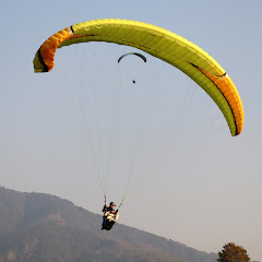 The Himachali Traveller