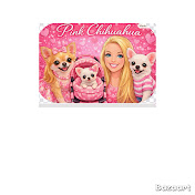 Pink Chihuahua