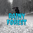 Rainy Forest