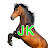 jk horse trainer