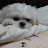 @정일한-p1u