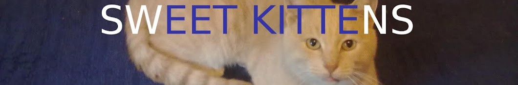 Sweet kittens YouTube 频道头像