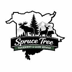 Spruce Tree Taxidermy and Guide Service