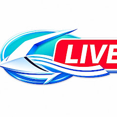 東北新幹線ライブ Alfa Live
