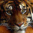 @simiotichyperreality's avatar