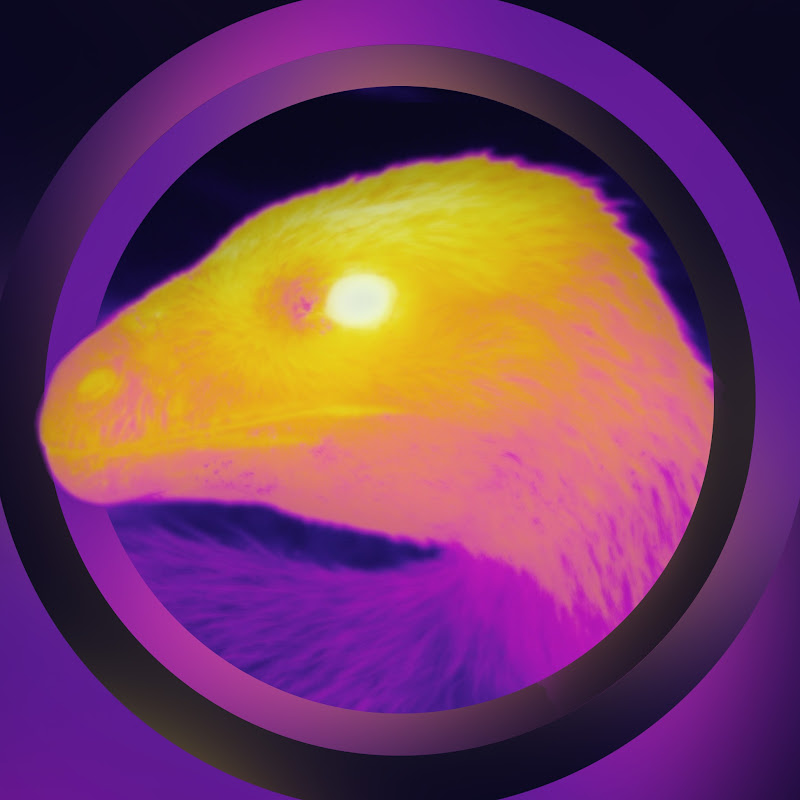 Channel Avatar