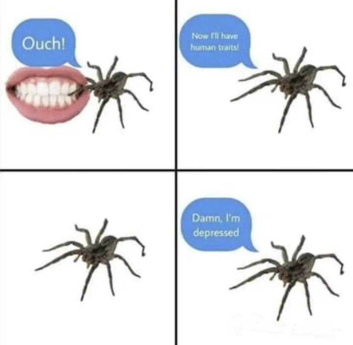 x571yqKTKKDW6UV0Y31BgSMWZpw-fBIXmQIhIauZwT4bjPPD7zmTsH0d01t71ryCkEiGaoHDcWoezA=s1166-nd-v1