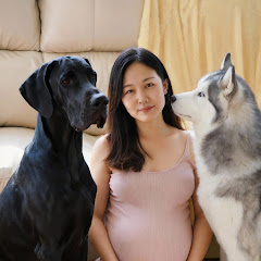 宠物早班车アイコン画像