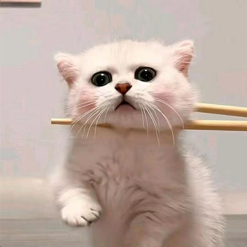 小咪的小說館 Logo