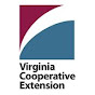 VCE-Fairfax County  logo