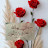 @saherhasseh6228