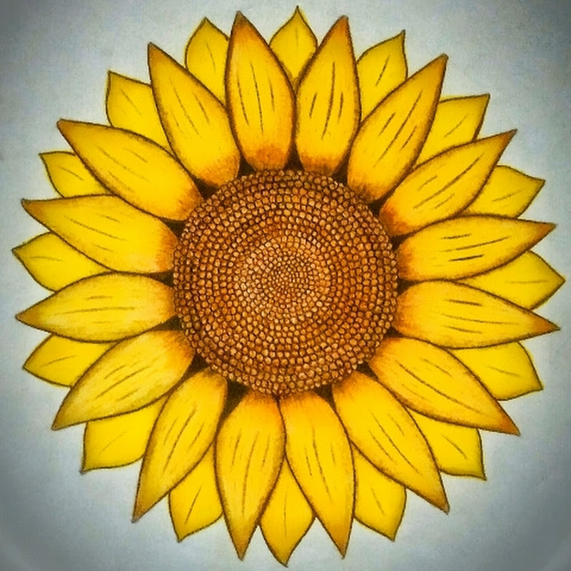 Art with Ankush