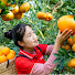 82Sep4CNC9c-channel-avatar-Susan Daily Life and 2 more