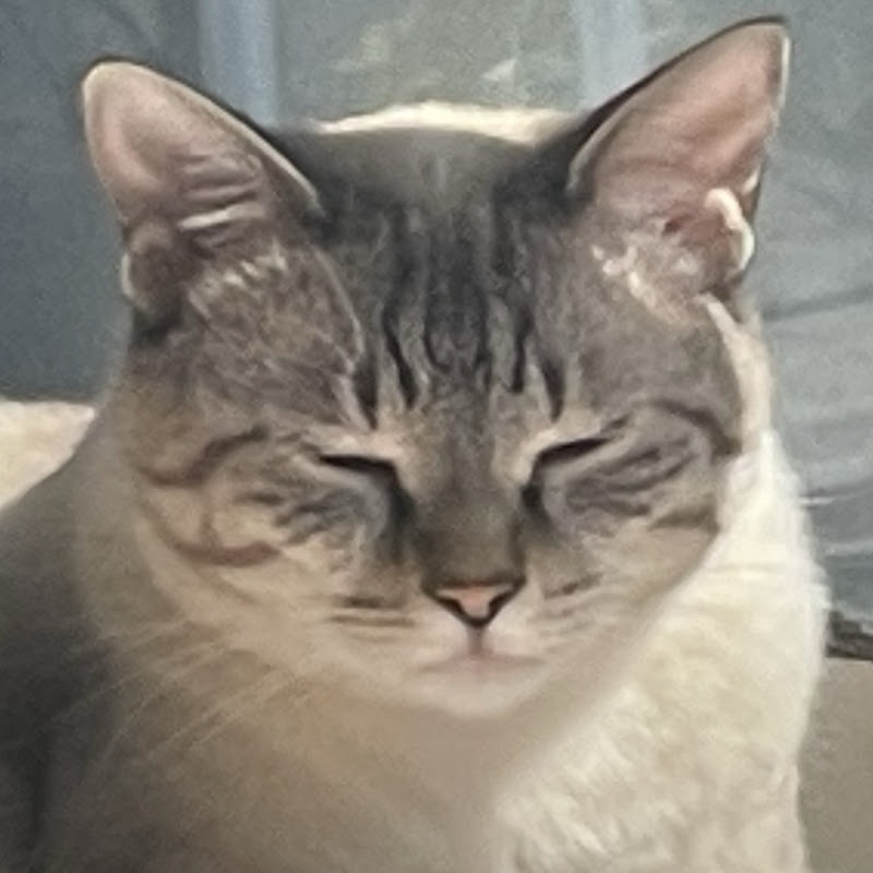 まさやんだぞ笑