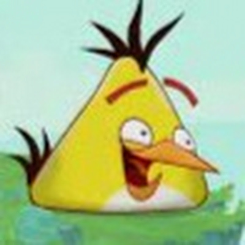 The Feather Hed