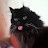 JORA CAT