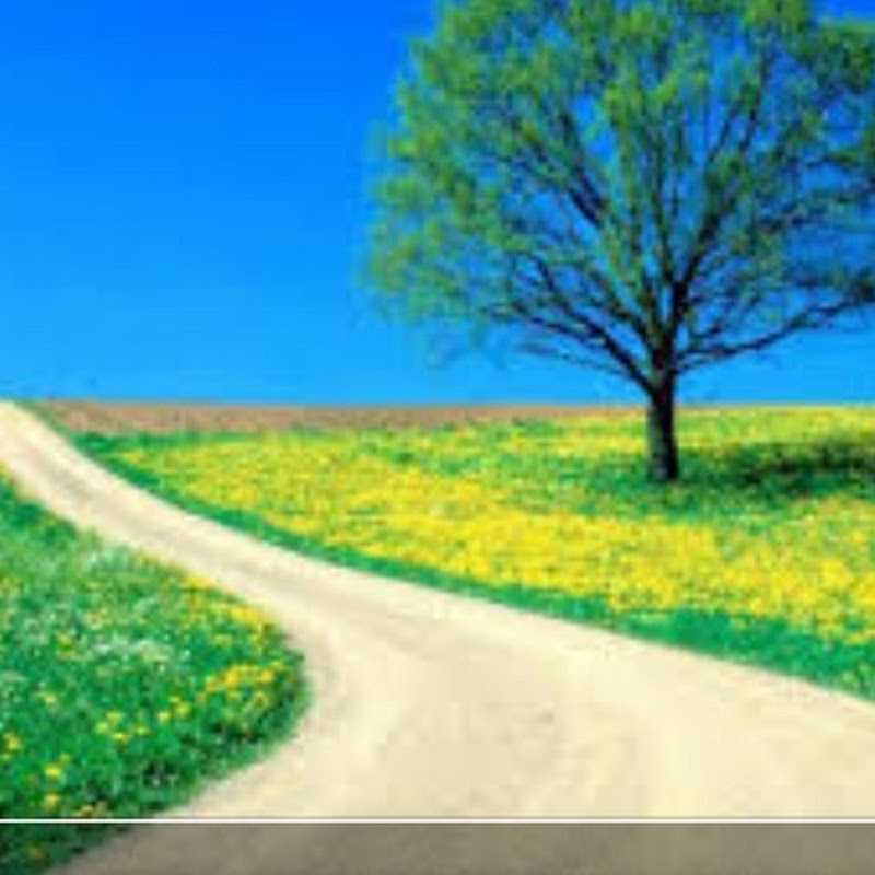 معلومة مع بسنت 